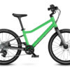 jungle-green