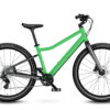 jungle-green
