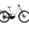 ivory-white-black-gloss
